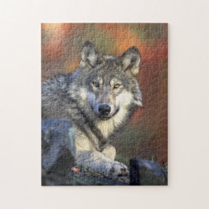 puzzle sauvage de loup