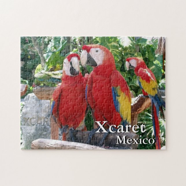 Puzzle Scarlet Macaws (Horizontal)
