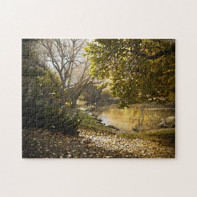 Puzzle Scène Abstraite. Central Park New York. (Horizontal)