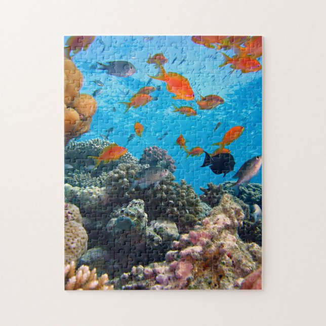 Puzzle Scène sous-marine (Vertical)
