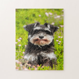 Puzzle Schnauzer Dog Jigsaws.