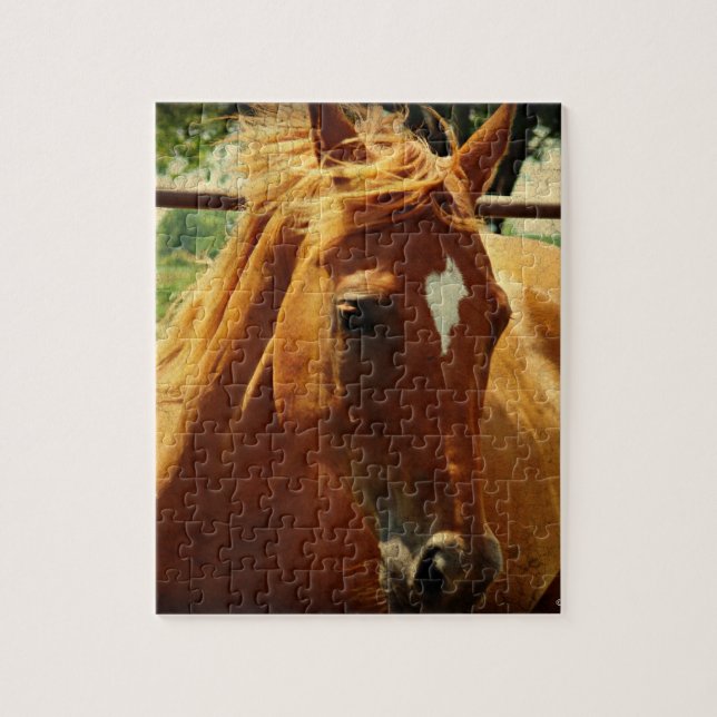 Puzzle Scotch (Vertical)