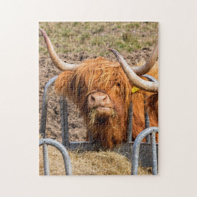 Puzzle Scottish (Vertical)