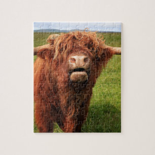 Puzzle Scottish Highland Cattle