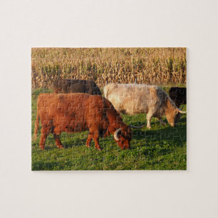 Puzzle Scottish Highland Cows in a pasture