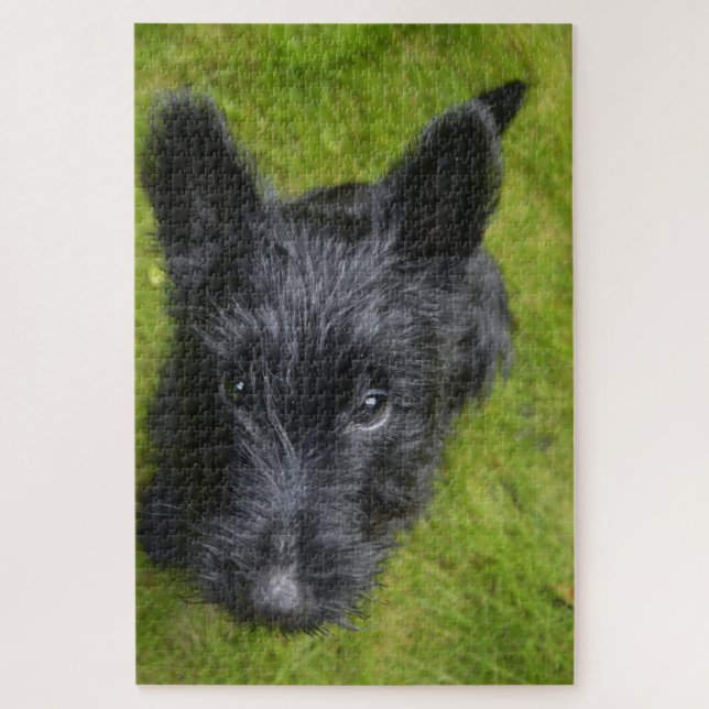 Puzzle Scottish Terrier Jigsaws. (Vertical)