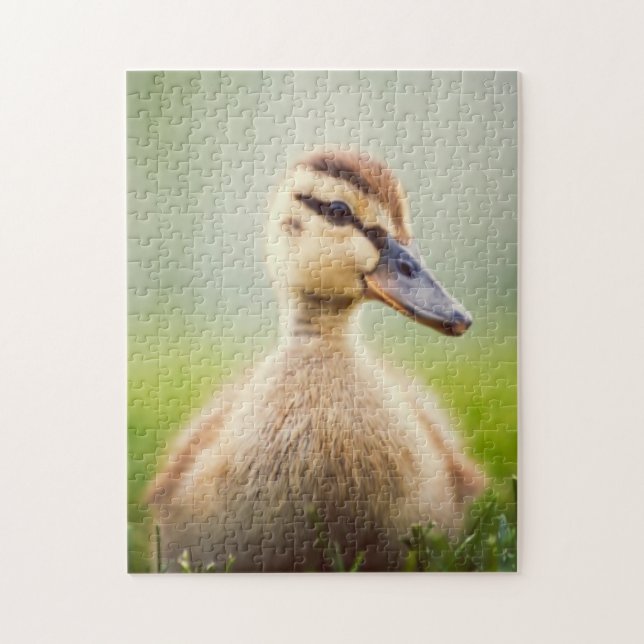Puzzle Se pencher de Mallard de bébé (Vertical)