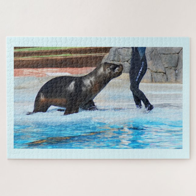 Puzzle Sea lion (Horizontal)