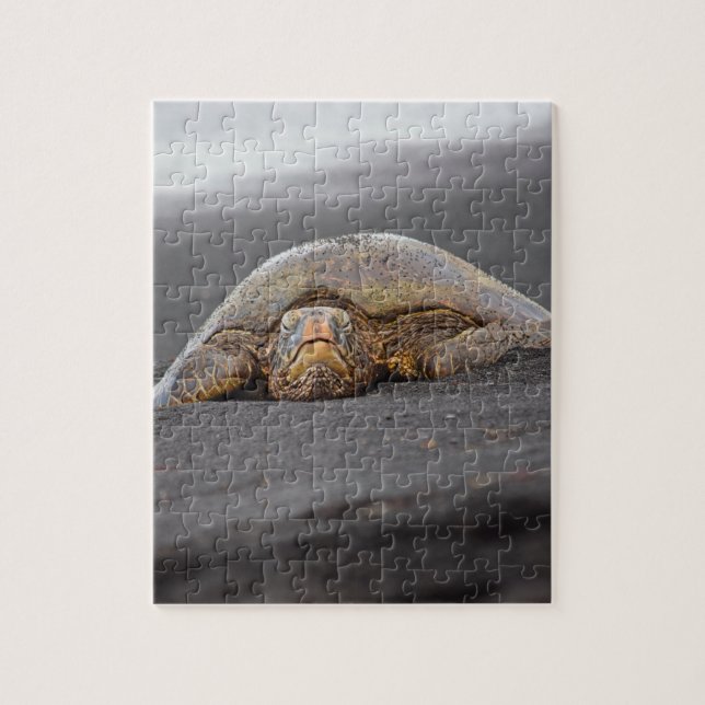 Puzzle Sea Turtle Black Sand Beach Hawaii 8x10 - 110 pc (Vertical)
