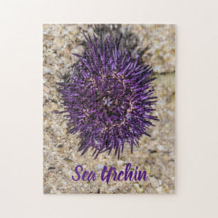 Puzzle Sea Urchin Ocean Beach Vacances Souvenir d'été