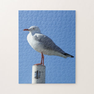 Puzzle Seagull