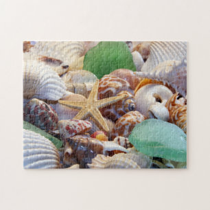Puzzle Seashells