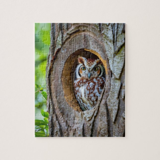 Puzzle Secrets de la Résidence de Trunk Owl's (Vertical)