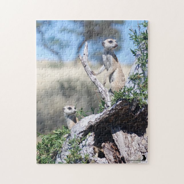 Puzzle - sentinelles de Meerkat (Vertical)