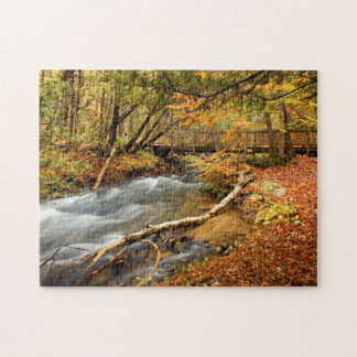 Puzzle Sept ponts