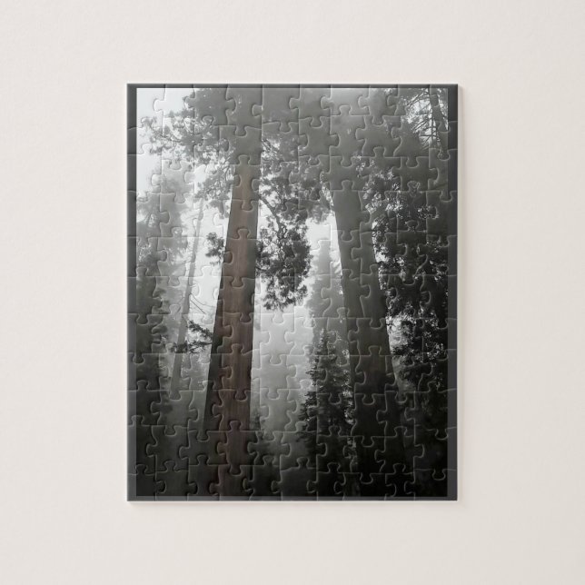 Puzzle Séquoia géantes dans le brouillard, CA (Vertical)