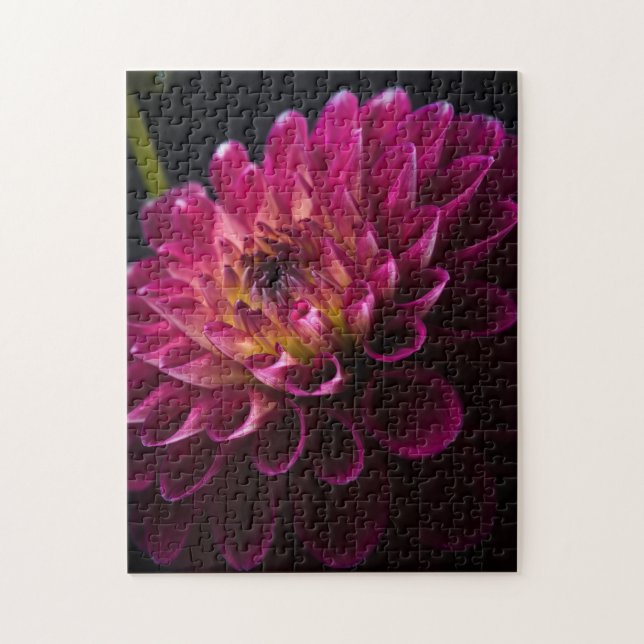Puzzle Série de fleurs de gros plan : Dahlia (Vertical)
