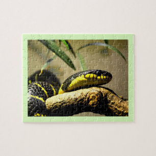 Puzzle Serpent