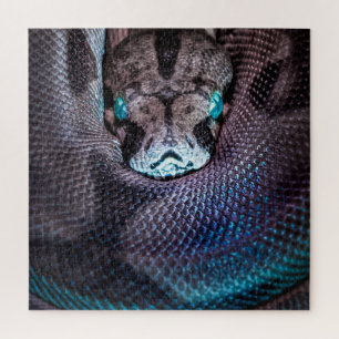 Puzzle Serpent boa anaconda python reptile serpent
