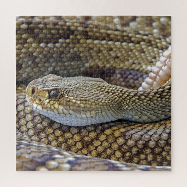Puzzle Serpent de bétail venimeux près (Vertical)