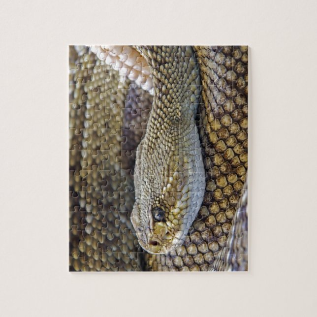 Puzzle Serpent de bétail venimeux près (Vertical)