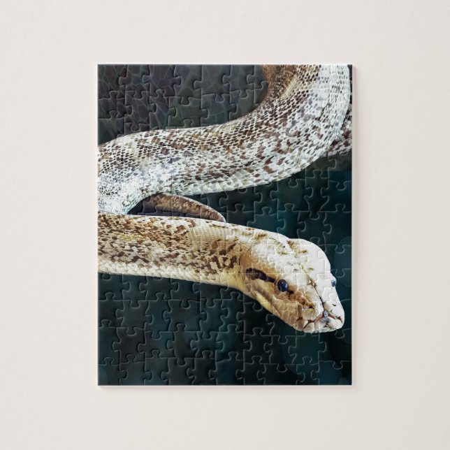 Puzzle Serpent de python (Vertical)