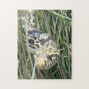 Puzzle Serpent de R4 Taureau