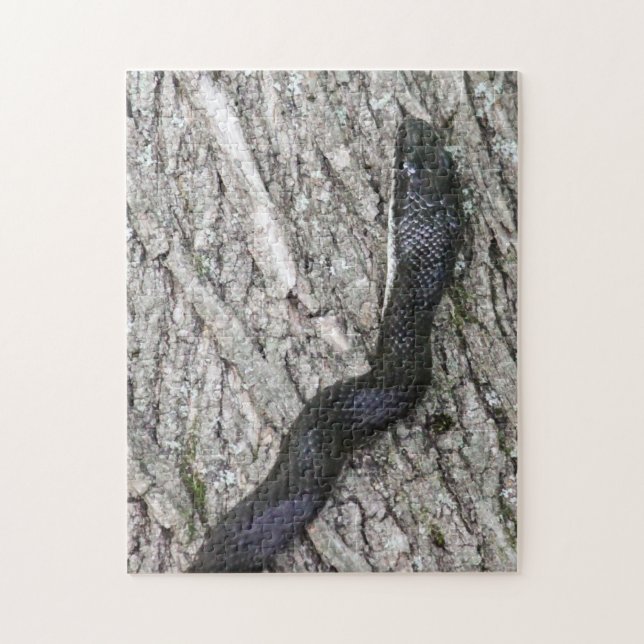 Puzzle Serpent de rat noir (Vertical)