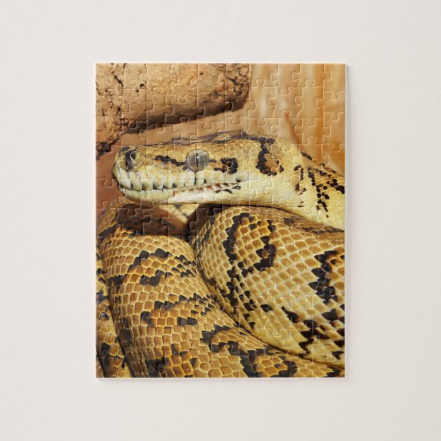 Puzzle serpent python (Vertical)