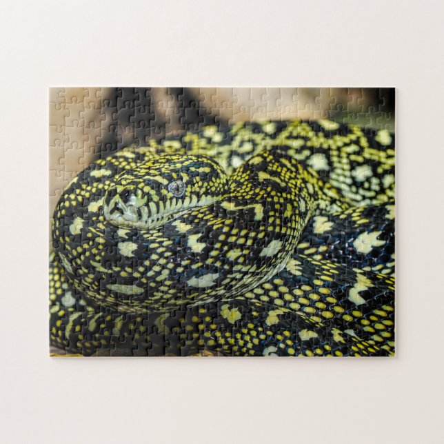 Puzzle Serpent Python de Tapis Jungle (Horizontal)