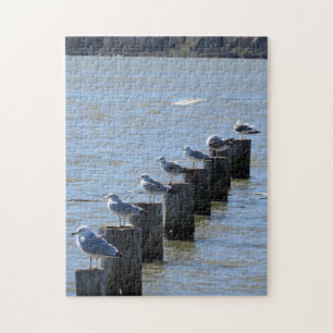 Puzzle - Seven Seagulls on Pilings