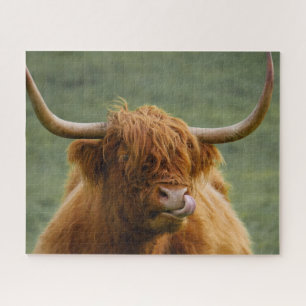 Puzzle Shaggy Haired Scottish Highland Cow Nature Animal