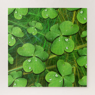 Puzzle Shamrock vert St Patrick iPhone 5 Coque-Mate