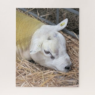 PUZZLE SHEEP