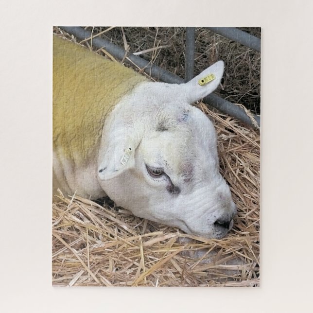 PUZZLE SHEEP (Vertical)
