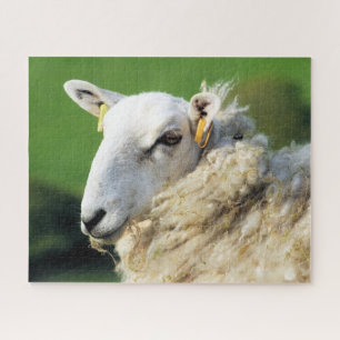 PUZZLE SHEEP