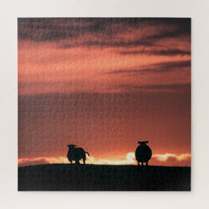Puzzle Sheep Sunset Nature Photo