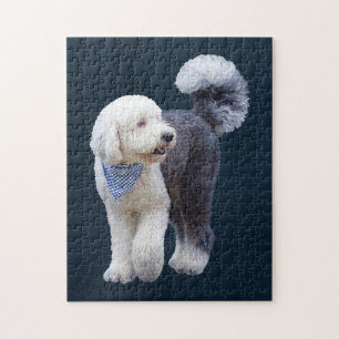 Puzzle Sheepadoodle avec écharpe à carreaux bleus