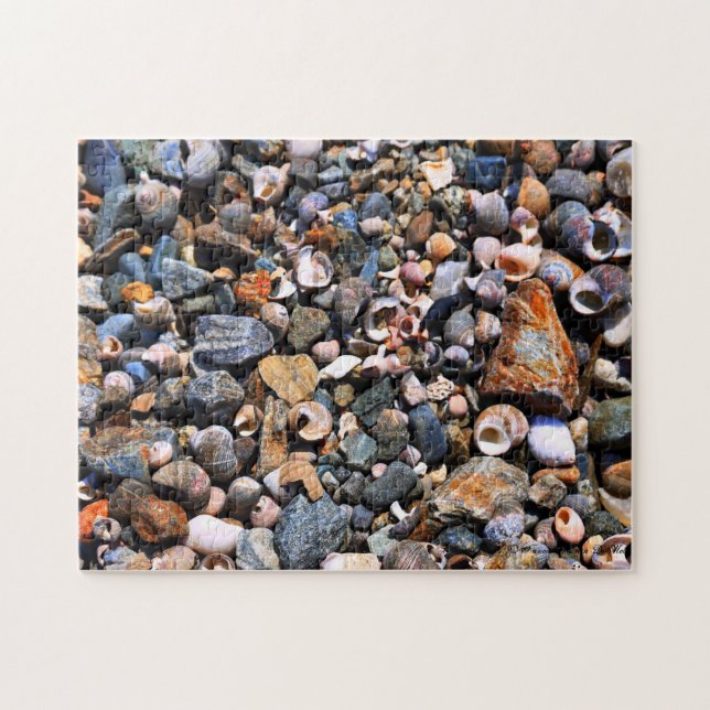 Puzzle Shell déconcertent (Horizontal)