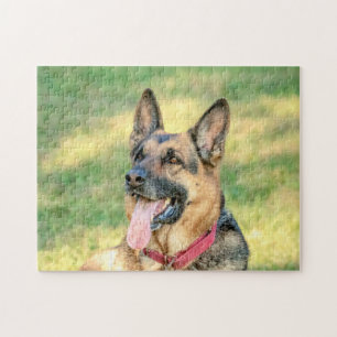 Puzzle Shepard allemand