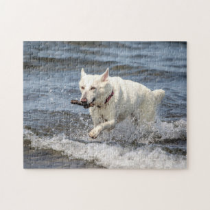 Puzzle Shepard allemand blanc sur le lac George