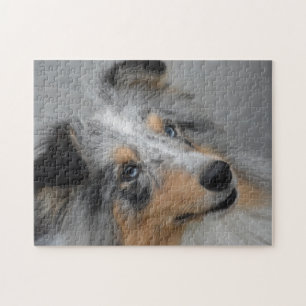 Puzzle Shetland Sheep Chien Jigsaw.