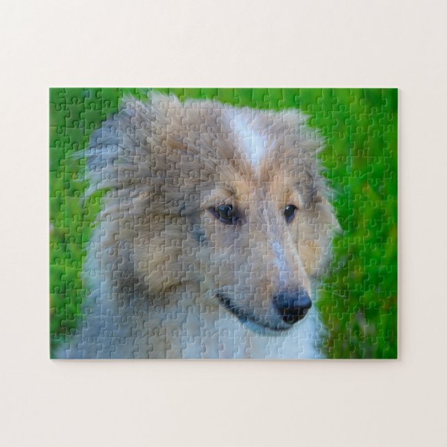 Puzzle Shetland Sheep Chien Jigsaw. (Horizontal)