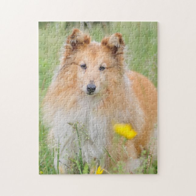 Puzzle Shetland Sheepdog - Sheltie Dog (Vertical)
