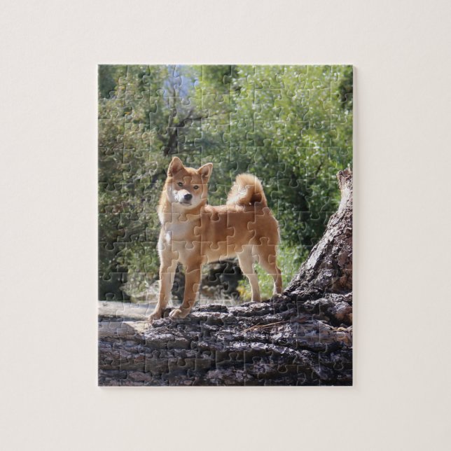 Puzzle Shiba Inu (Vertical)