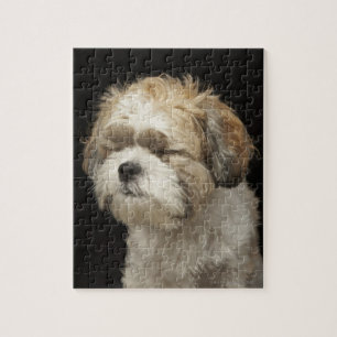 Puzzle Shih Brown et blanc Tzu avec des yeux s'est fermé