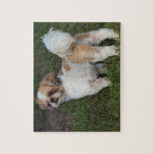 Puzzle Shih le plus mignon Tzu
