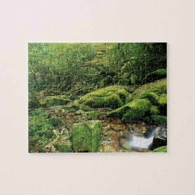 Puzzle Shiratani Unsuikyo, Yakushima, Kagoshima, Japon (Horizontal)