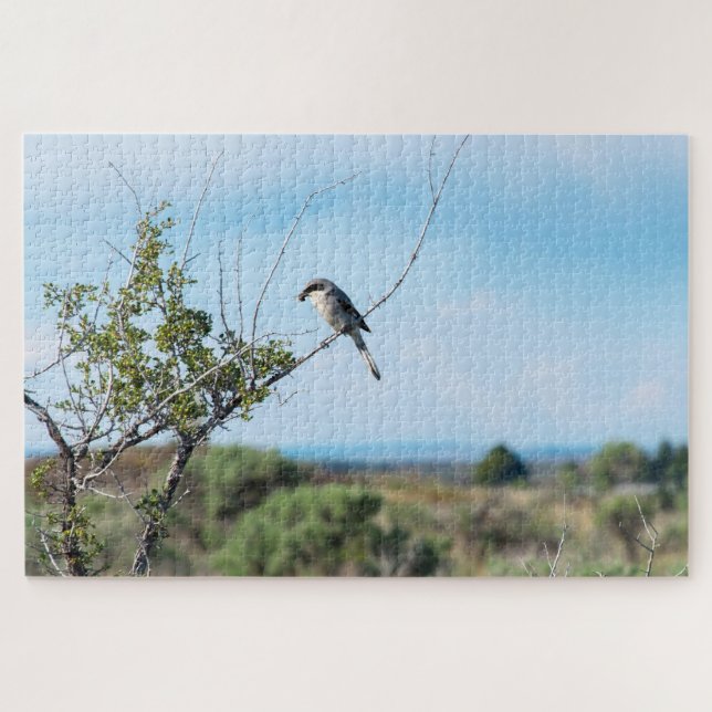 Puzzle Shrike du Nord (Horizontal)