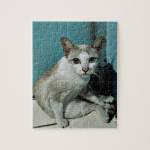 Puzzle Siamese Cat Friend